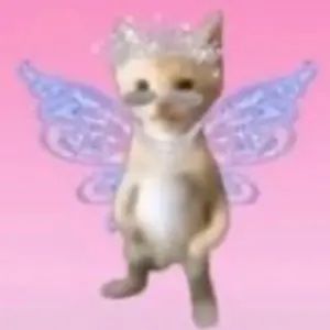 Meet your Posher, Bailey